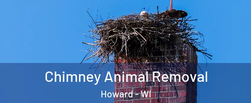  Chimney Animal Removal Howard - WI