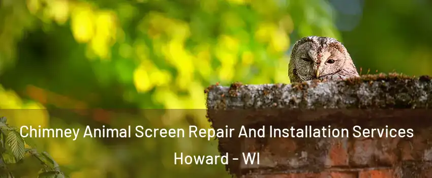  Chimney Animal Screen Repair And Installation Services Howard - WI
