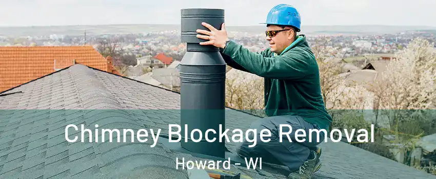  Chimney Blockage Removal Howard - WI