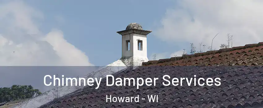 Chimney Damper Services Howard - WI