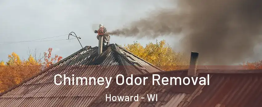  Chimney Odor Removal Howard - WI