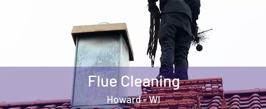  Flue Cleaning Howard - WI