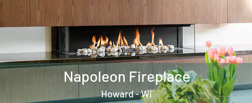  Napoleon Fireplace Howard - WI